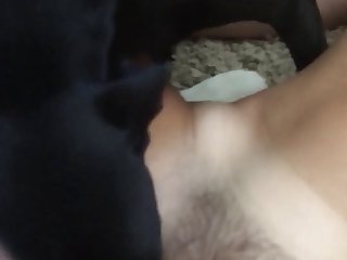 Ebony Porm X