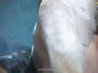 Www Xnxnx Com