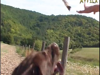 Heantai Games