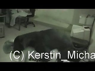 Live Pirn Cams