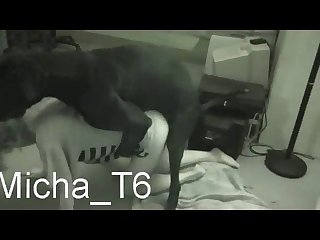 Live Pirn Cams