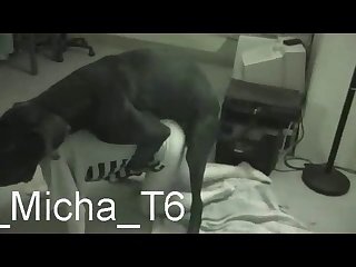 Live Pirn Cams