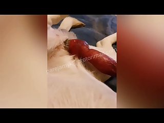 Casting Pron Big Cock