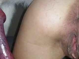 Bambidoe Onlyfans