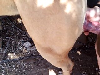 Mature Por N