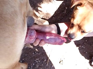 Mature Por N