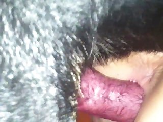 Xvideosred