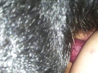 Xvideosred