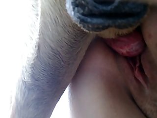 Ebony Porm
