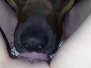 Homemade Wife Sharing