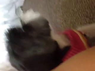 Video Por Dog