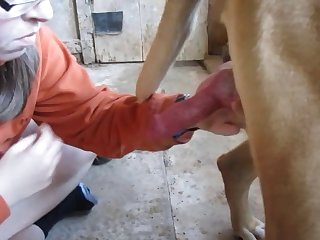 Video Porno