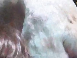 Xnnx Org