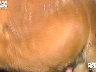 Xhamstert Com