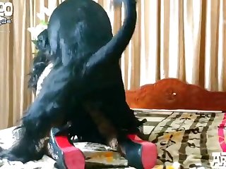 Miniature Spy Cameras