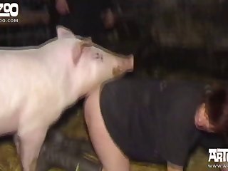 Xhamsterl Zoo Com