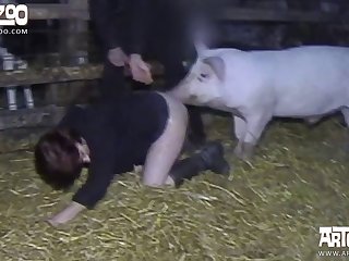 Xhamsterl Zoo Com