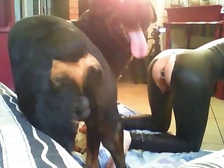 Adult Games For Mobile