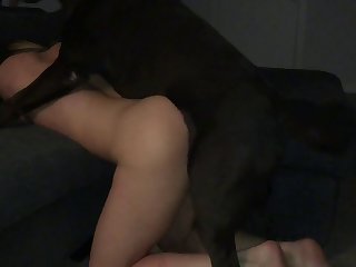 Gay Sexs