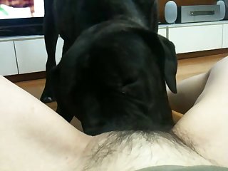 Amature Nude Wives