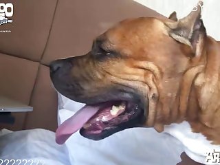 Indian Gaysite Com
