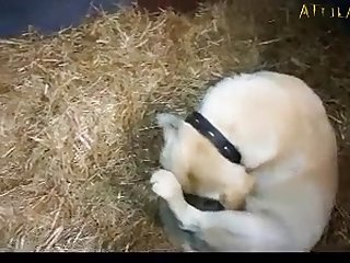Xxxxnxx Com