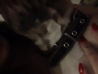 Mature Tube Com Zoo Z Xxx