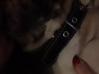 Mature Tube Com Zoo Z Xxx