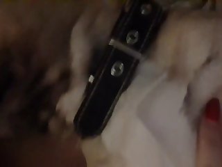 Mature Tube Com Zoo Z Xxx