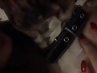 Mature Tube Com Zoo Z Xxx
