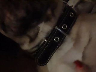 Mature Tube Com Zoo Z Xxx
