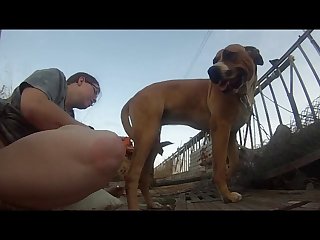 Pov Blowjobs
