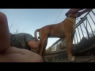 Pov Blowjobs