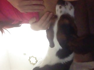 Beeg
