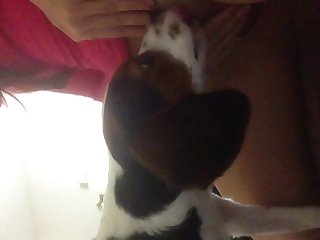 Beeg