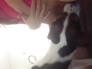 Beeg