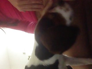 Beeg