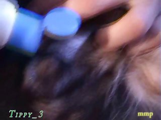 Tippy 3