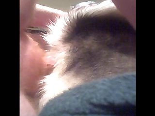 Kisses Anal