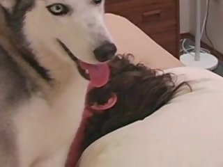 Dog Long Shot Husky (man + Female Dog)