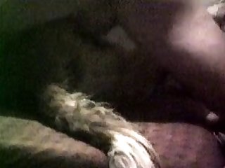 St. Bernard At Night 1 1