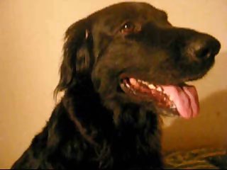 Sex With Ronja Part 1 And 2