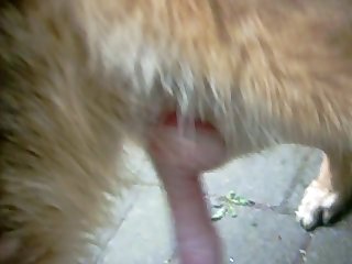 Sensual Bj