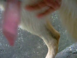 Sensual Bj