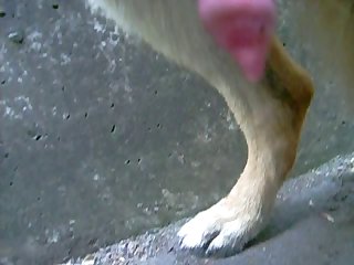 Sensual Bj
