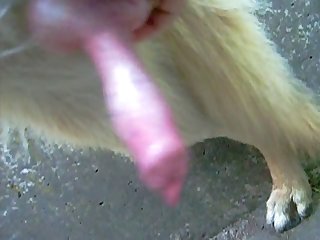 Sensual Bj