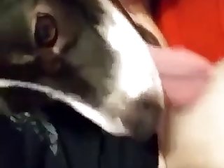 Blojob Video