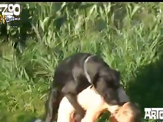 India Nsex