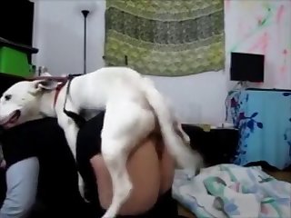 P0r N