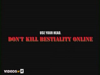 Free Slot Games